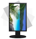 Monitor LED 18,5 po. wide LG 19EB13P-B 1366x768 VGA DVI2