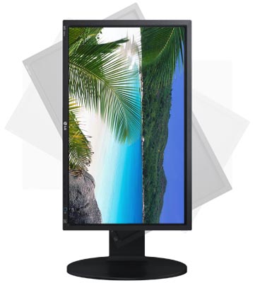 Monitor LED 18,5 po. wide LG 19EB13P-B 1366x768 VGA DVI