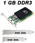 Placa vdeo PNY nVidia Quadro NVS310 1GB DDR3, 2 DP#100